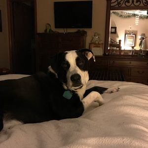 Meet your Posher, Patti